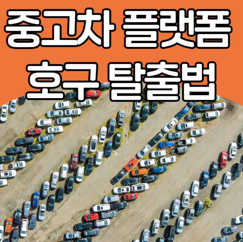 환불 가능한 케이카? 매물 많은 엔카? 중고차 플랫폼 장단점과 호구 탈출법