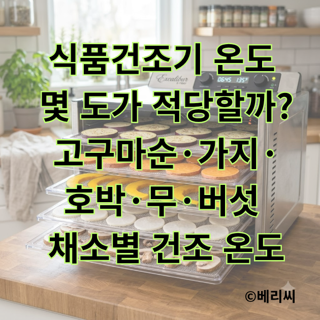 식품건조기 온도 몇 도가 적당할까?｜고구마순·가지·호박·무·버섯 채소별 건조 온도
