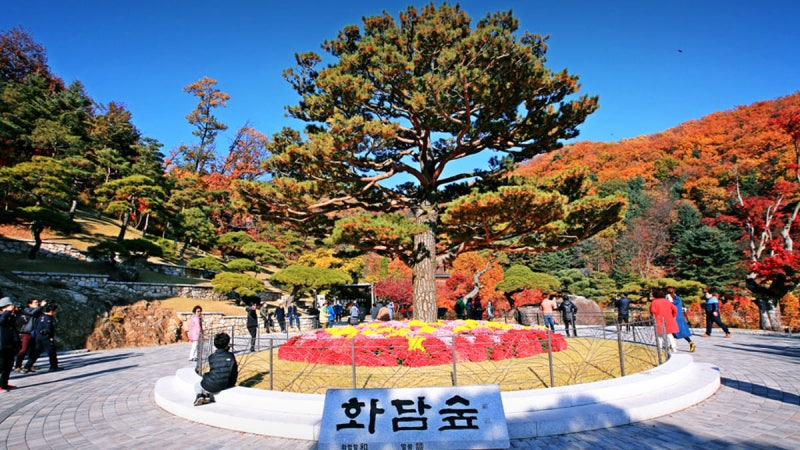 화담숲 단풍시기 2026 예약방법과 화담채 예약꿀팁 총정리