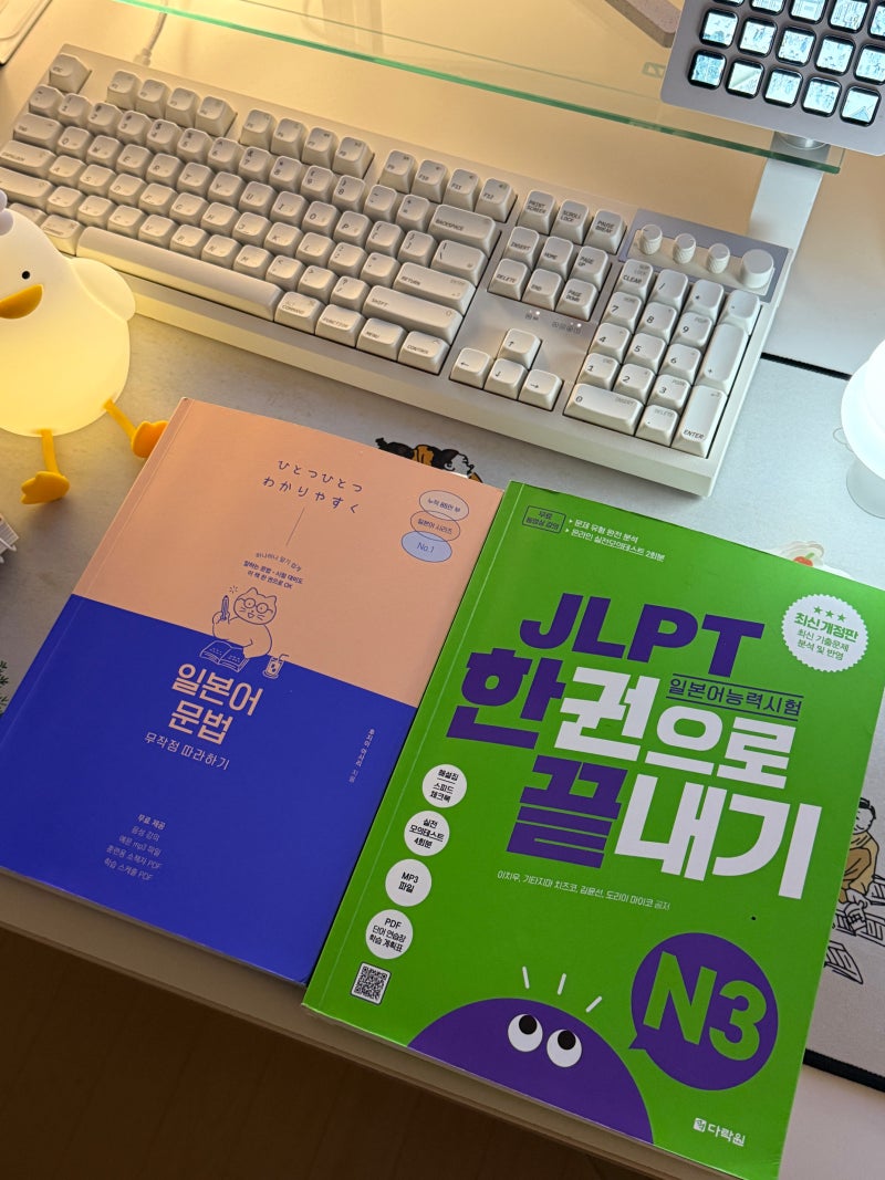 N4 단어 암기 끝! JLPT N3 독학 d-81 일본어 학습도구 소개