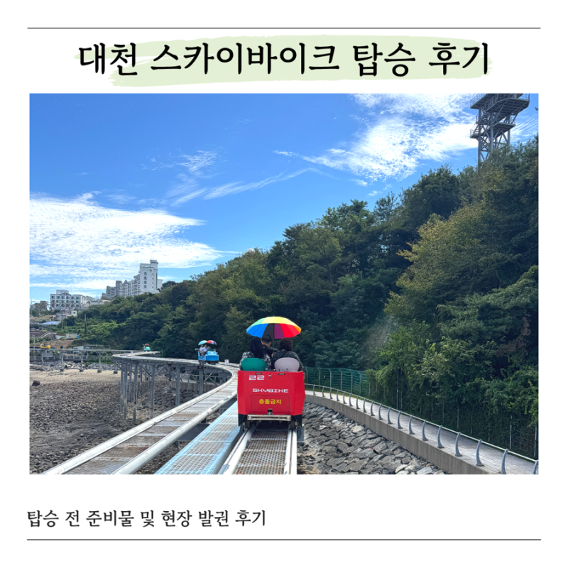 대천 스카이바이크 아기랑 탑승 후기, 탑승 전 준비물과 현장 발권