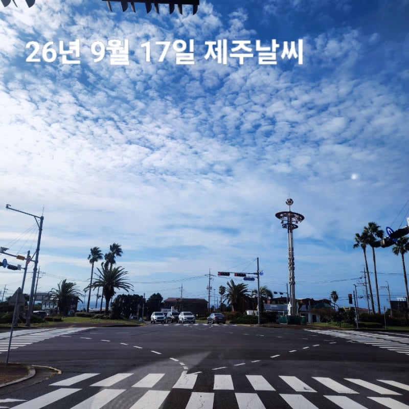 9월 17일 제주도 날씨 서귀포 실시간 제주가을 9월날씨 맑고 쾌청한 날씨