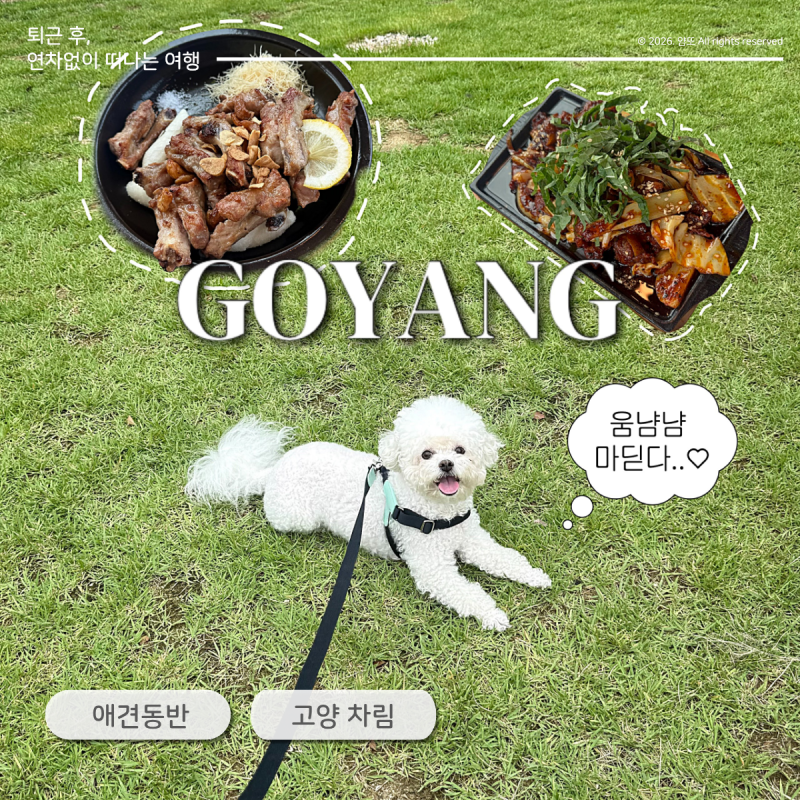 서울근교 애견동반 식당 고양 차림 | 드라이브 코스, 주말 나들이 추천