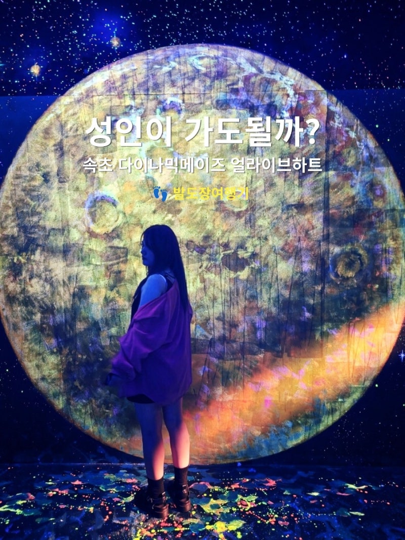 속초 다이나믹메이즈 얼라이브하트 직접 가보니 | 가격 소요시간 양말 이용나이