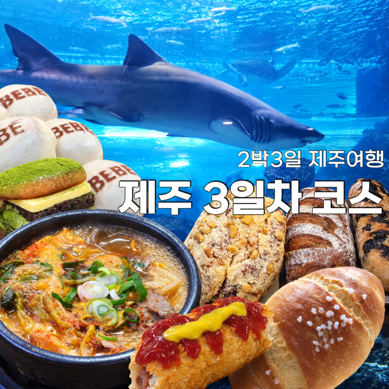 제주 2박3일 3일차 여행코스, 산지해장국부터 빵지순례·아쿠아플라넷까지