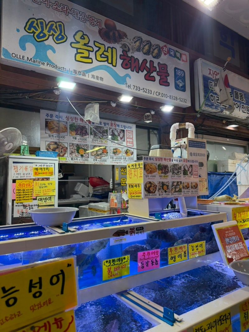 제주 서귀포 올레시장맛집 싱싱올레해산물 회포장 후기