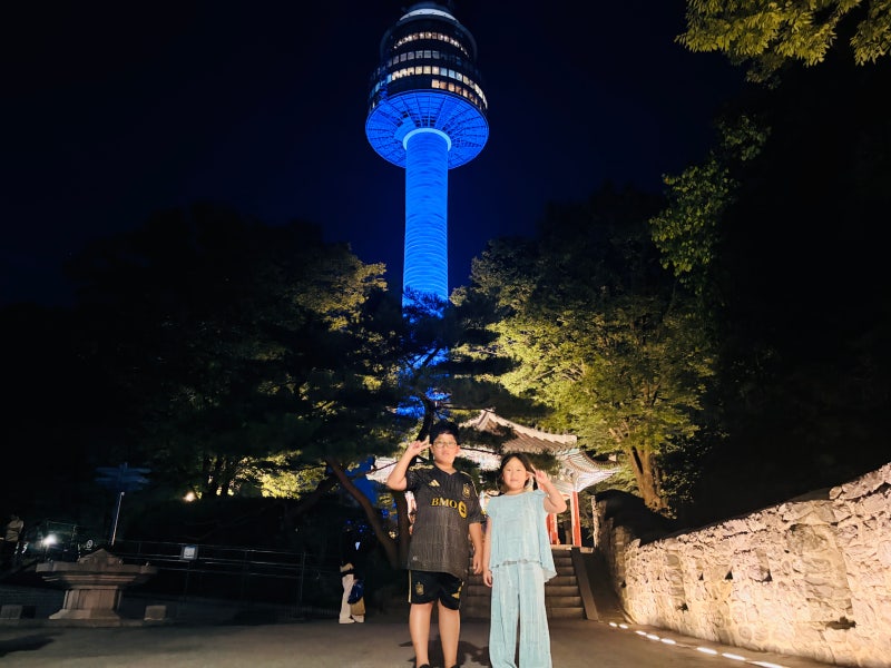 남산 하늘숲길 남산공원 총정리 남산 둘레길 코스 N서울타워
