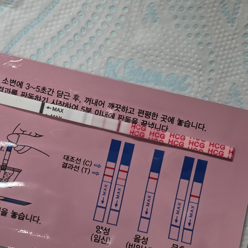 첫 임테기 두줄 그리고 화학적 유산, 임신인데 임신이 아니라고..?