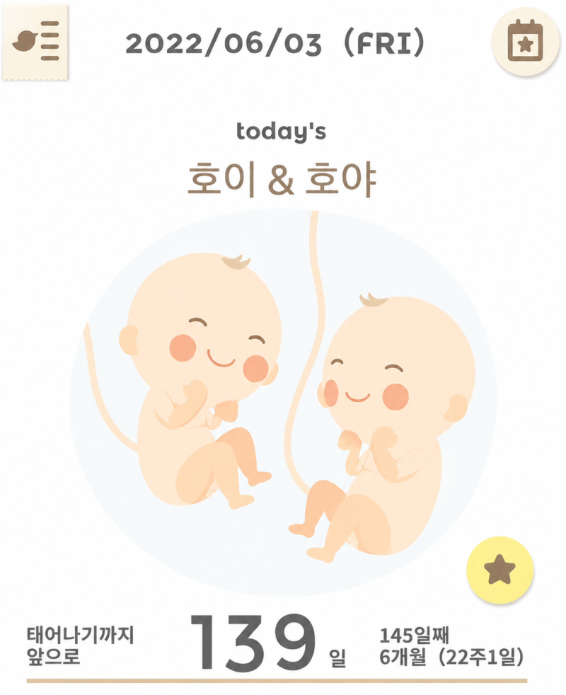 임신 22주차, 쌍둥이 태아보험 가입｜다태아 태아보험 가입조건