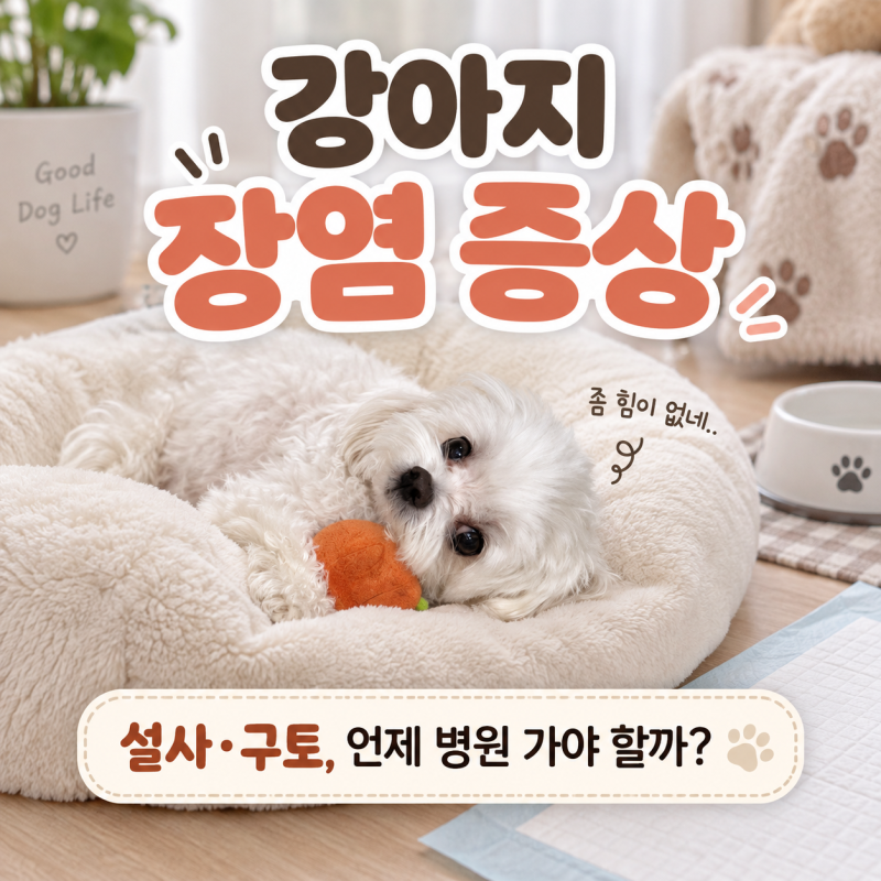 강아지 장염 증상 설사 구토, 병원 가야 하는 기준은?