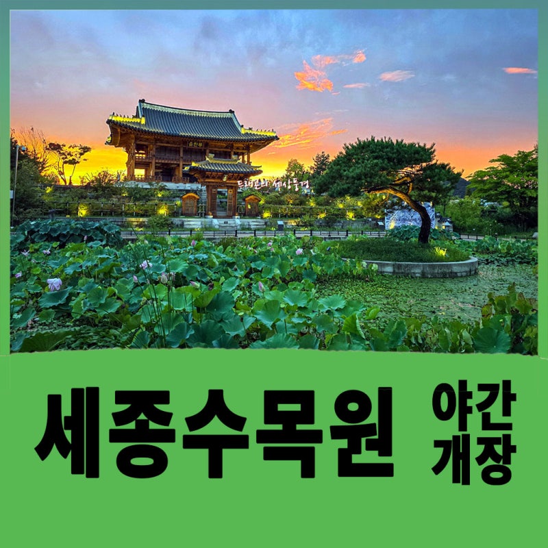 세종 가볼만한 곳 국립세종수목원 야간개장 후기 , 사계절전시온실과 한국전통정원 노을