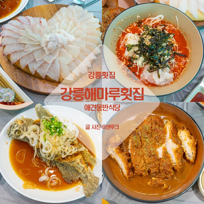 강릉 애견동반식당 해마루 횟집 현지인 맛집추천