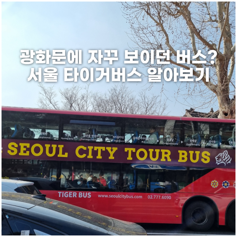 광화문에서 자꾸 보이던 저 버스 뭐지? 타이거버스 알아보기 서울 시티투어버스