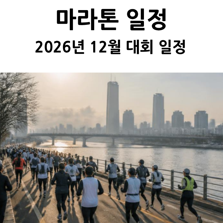 2026년 12월 마라톤 대회 일정 총정리｜전국 5km 10km 하프 풀코스