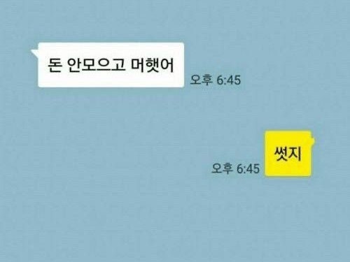 참 잘 샀다...! 다이소 쿠팡 올리브영 등등...모든 추천템~