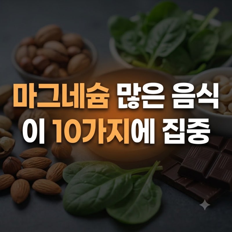 마그네슘 많은 음식 10가지 의외의 종류 핵심 효능 이거라고?!