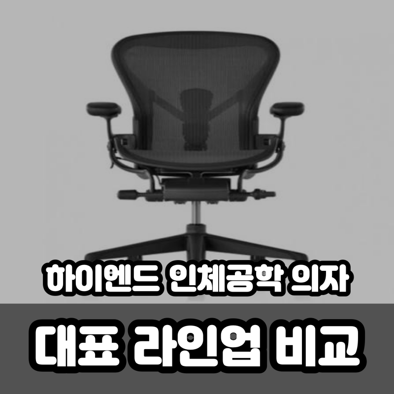 [데스크 셋업] 데스크세업 의자 추천. 하이엔드 인체공학 의자 대표 라인업 비교