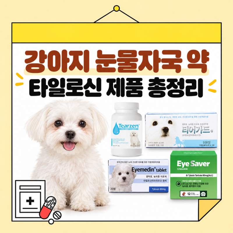 강아지 유루증 눈물자국 약국 약 총정리