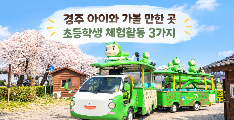 경주 아이와 가볼 만한 곳 초등학생 체험활동 3가지｜예약 방법·이용요금