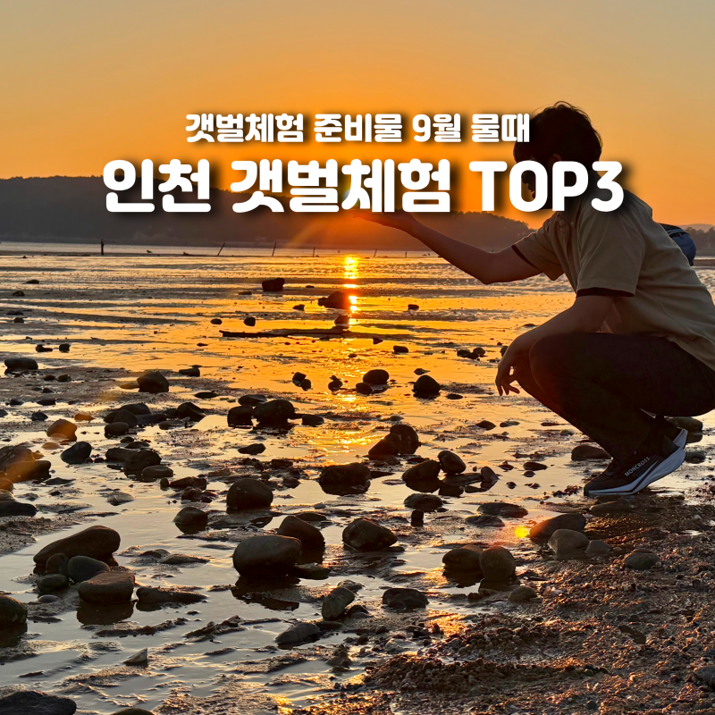인천 갯벌체험 추천 TOP3 준비물 9월 물때 총정리