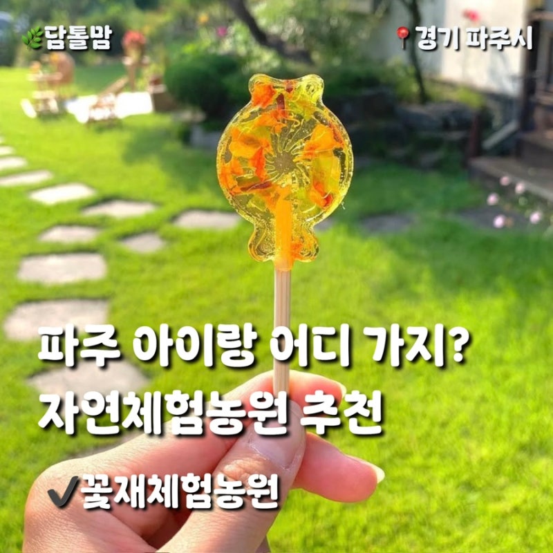 파주 아이 체험학습 추천｜꽃재체험농원 예약·체험비·이용정보 총정리