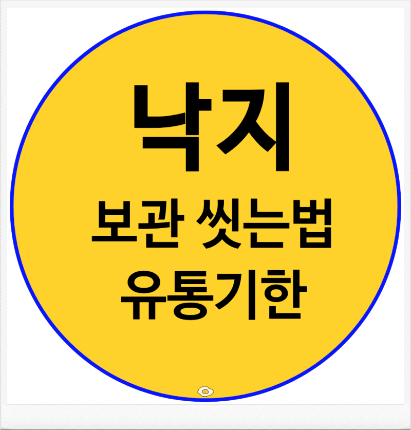 낙지 보관법 손질법 유통기한 삶는법 부작용까지 한눈에 정리
