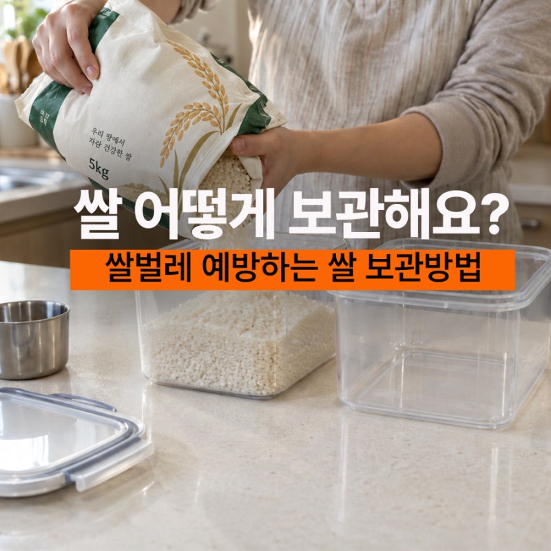 쌀벌레 예방하는 쌀보관통 쌀보관하는 방법
