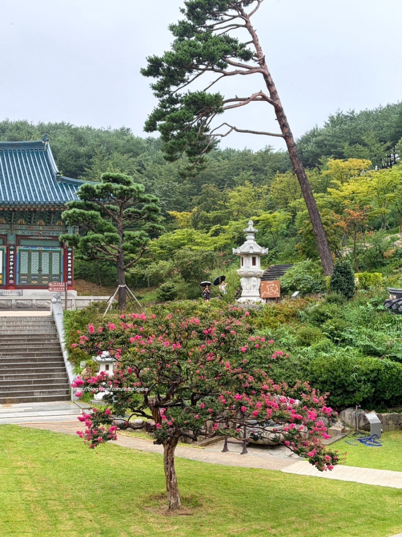 양양 낙산사에서 비오는 날 템플스테이 (인월료, 1박 2일 휴식형)