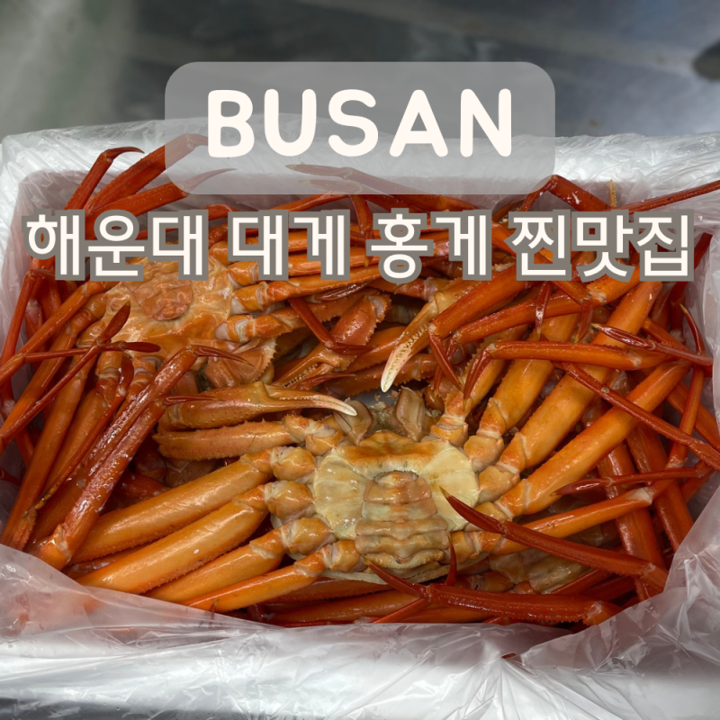 부산 해운대 장산역 대게 홍게 킹크랩 랍스타 포장전문 좌동재래시장 통큰대게