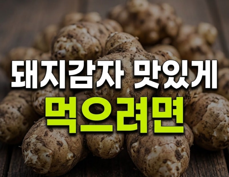 돼지감자 먹는법, 혈당과 함께 알아볼 내용. Feat 돼지감자 빵 깜빠뉴