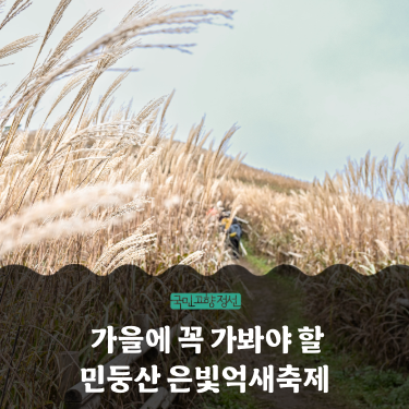 가을에 꼭 가봐야 할 정선 민둥산 은빛억새축제