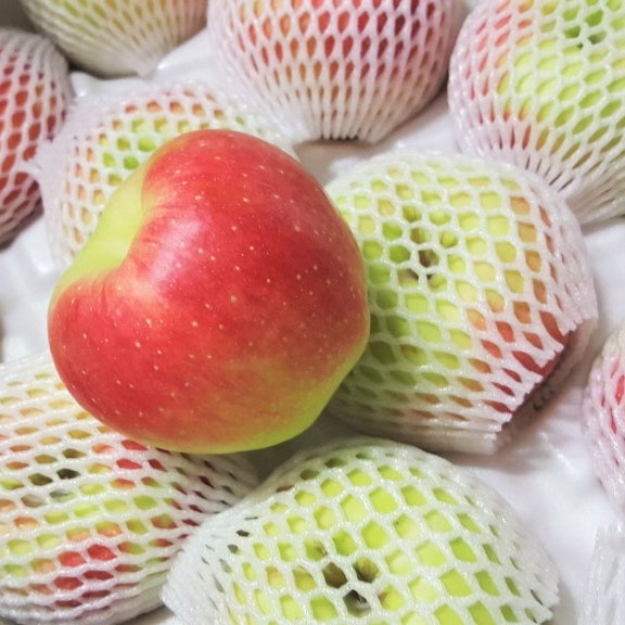 홍로사과 고르는 법, 꼭 빨간 사과가 맛있을까? 냉장 보관법까지