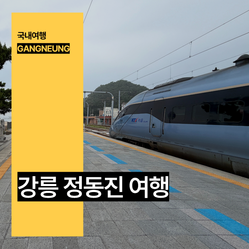 강원도 강릉 여행 정동진 정동진역 국내 기차여행 추천
