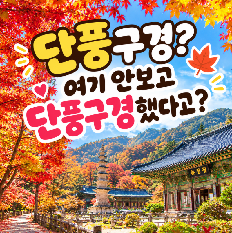 2026년 10월 오대산 월정사 단풍여행｜주차장부터 선재길 맛집 카페까지