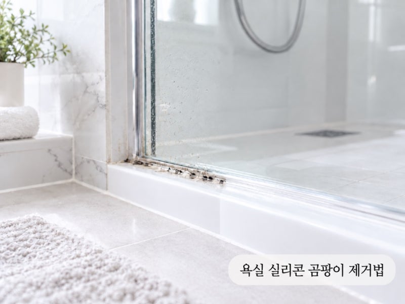 욕실 실리콘 검은 곰팡이 제거법, 집에서 쉽게 없애는 순서
