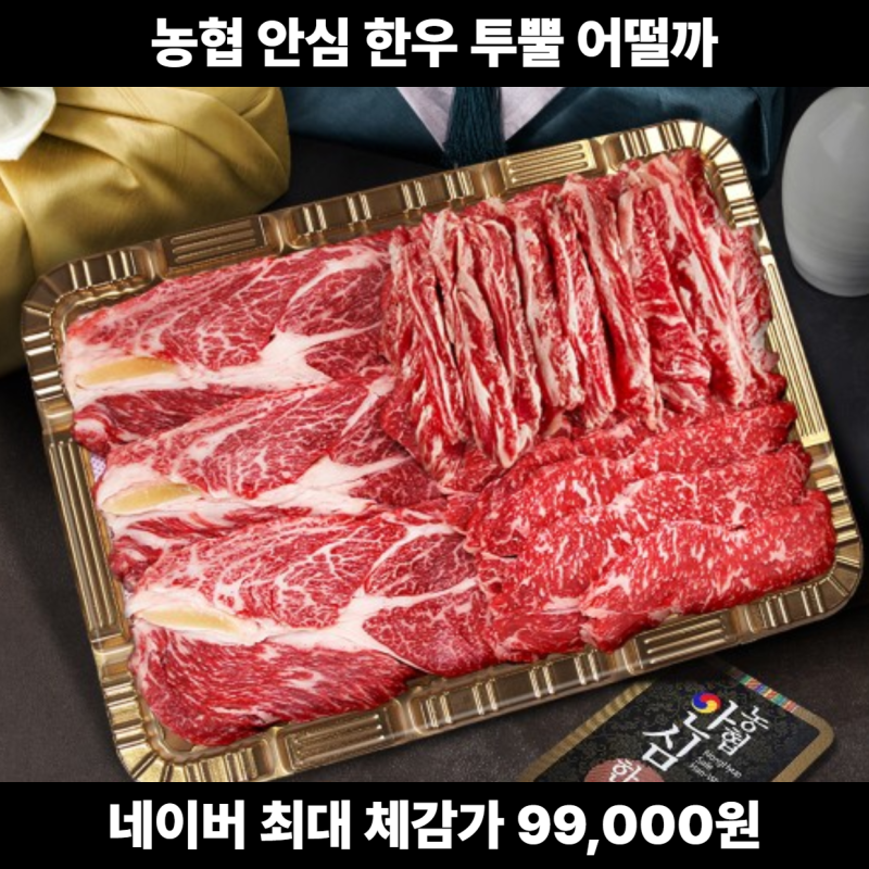 농협 안심 한우 선물 세트 최저가 비교｜1++ 소고기 구이용 추석 설 선물 고르는 법,추석 선물....