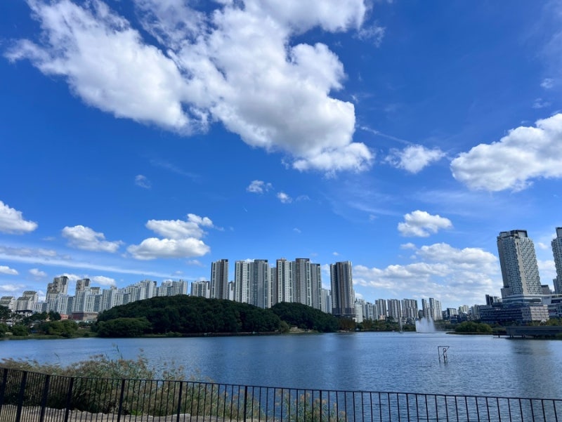 동탄호수공원 데이트 포레스트 왕갈비쌀국수 먹고 이그드라실에서 커피 한 잔