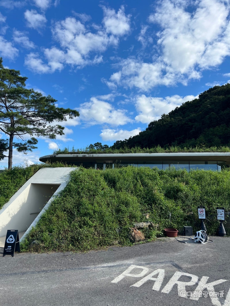 대전 근교 가볼만한곳 추천｜ 옥천 솔담도랑 책방 + 장계관광지 완벽했던 힐링 데이트 코스