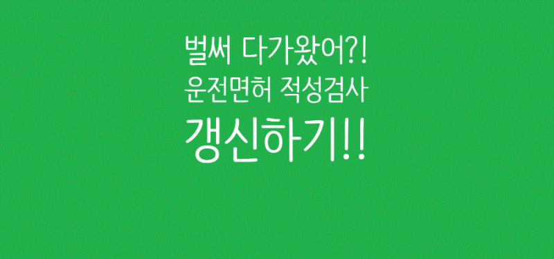 운전면허 적성검사 갱신 방법  (온라인 신청, 준비물, 수수료, 연기 방법 총정리)