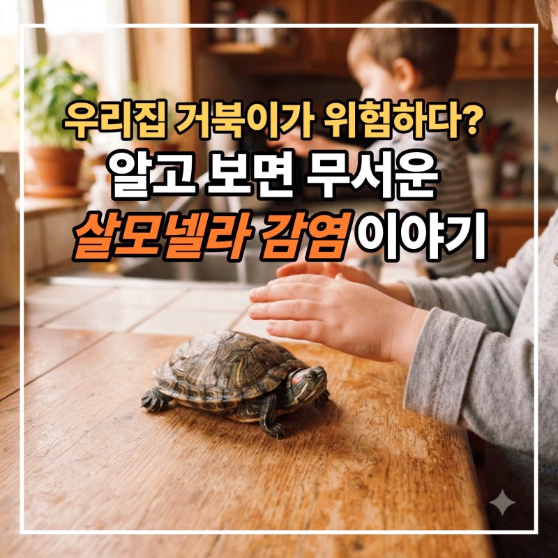 우리 집 거북이가 위험하다고요? 알고 보면 무서운 살모넬라 감염 이야기
