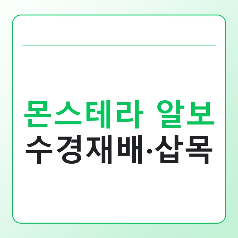 몬스테라 알보 수경재배·삽목, 무늬가 줄어들 때 먼저 볼 것