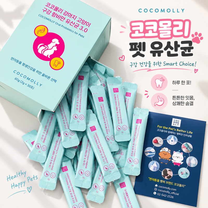 강아지유산균 추천 코코몰리 6000억 특허 균주로 노견 변비 잡은 후기 강아지고양이 영양제