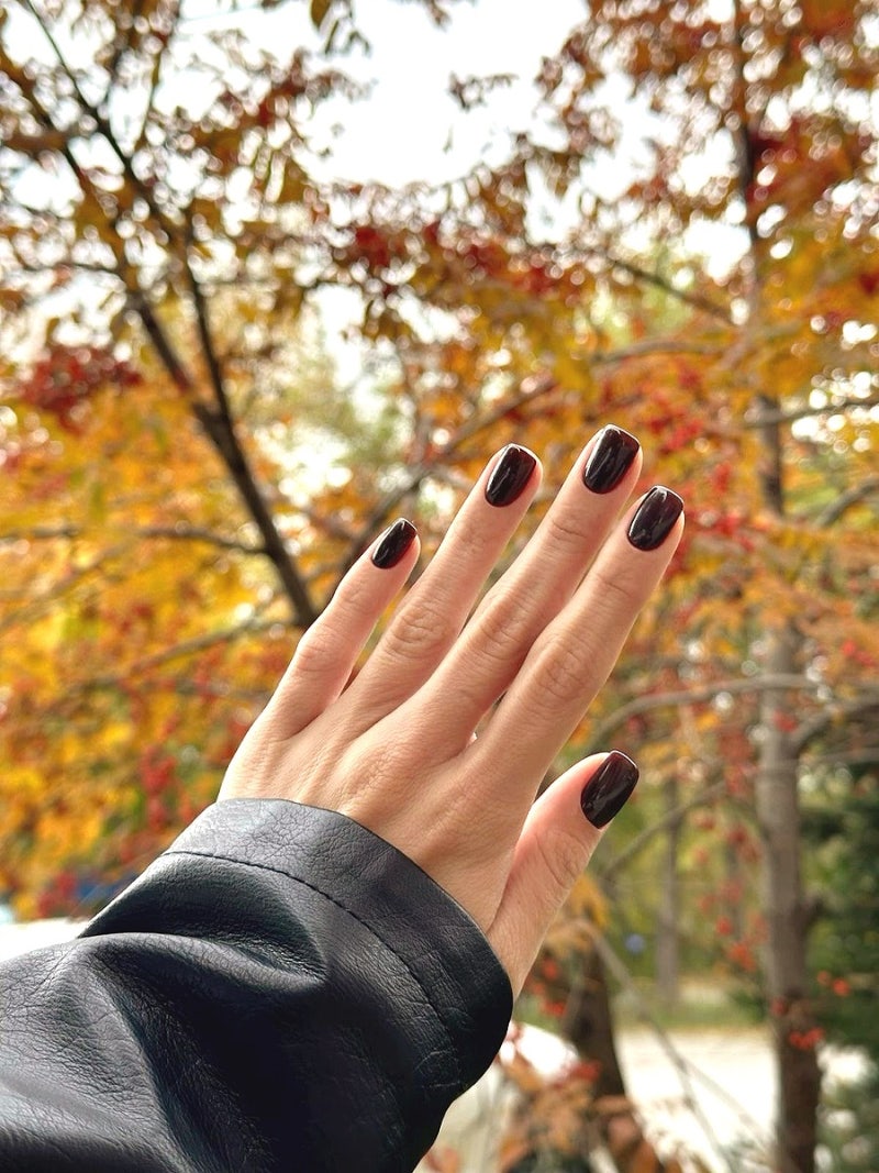 가을 분위기 물씬나는 네일컬러 추천, 버건디부터 부드러운 모카브라운까지, 분위기있는 젤....