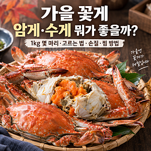 제철 꽃게 1kg 몇 마리일까?｜가을 꽃게 고르는 법과 손질·찜 방법