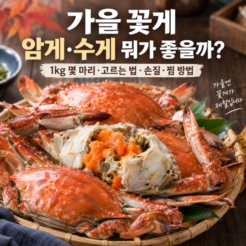 제철 꽃게 1kg 몇 마리일까?｜가을 꽃게 고르는 법과 손질·찜 방법