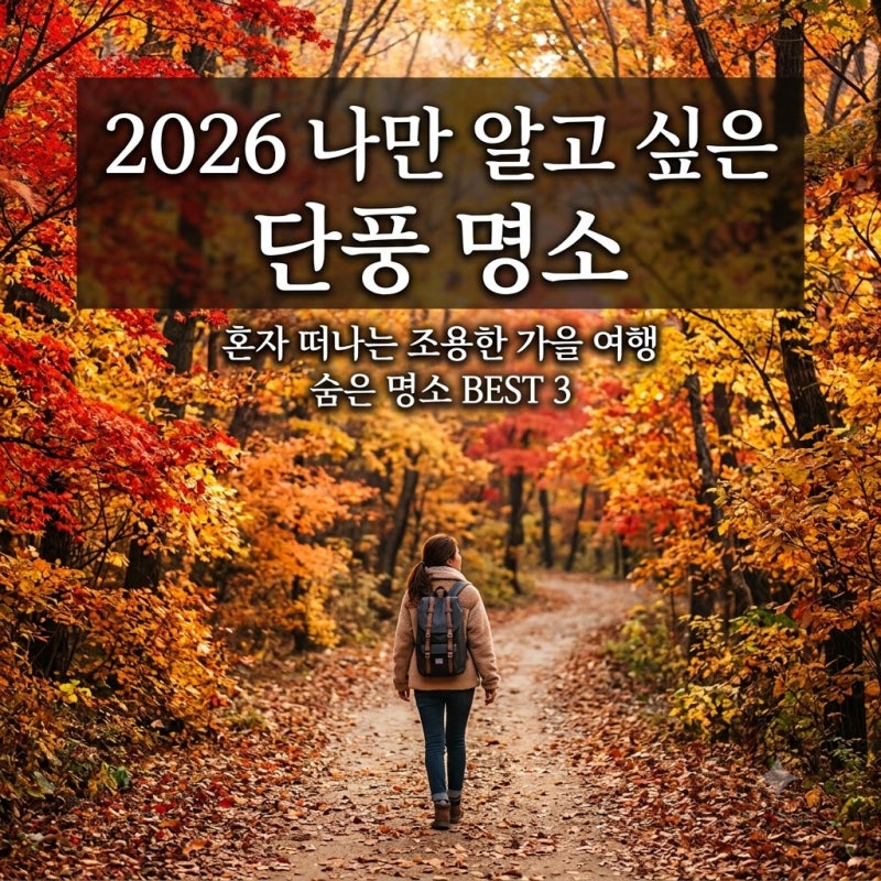 북적이는 곳은 싫다면? 2026 나만 알고 싶은 혼자 가는 단풍 구경 코스 추천
