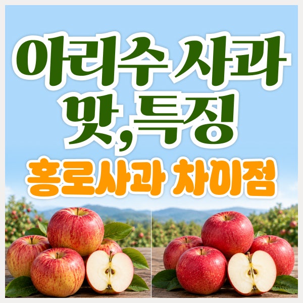 아리수 사과 수확시기와 맛 특징, 홍로 사과와 차이점 총정리