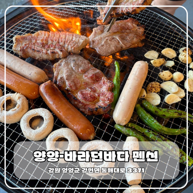 강원도 양양 숙소 추천 가족과 다녀온 가성비 오션뷰 펜션 바라던바다
