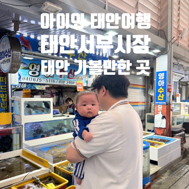 아이랑 태안여행 :태안서부시장: 태안 가볼 만한 곳 유모차 주차장 맛집 회포장 추천