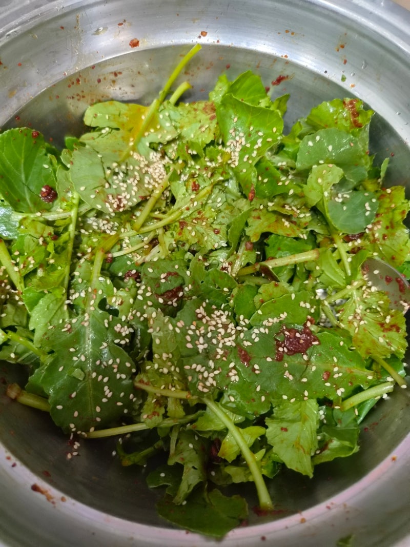 열무 겉절이 만드는 법 나물 반찬 텃밭 수확